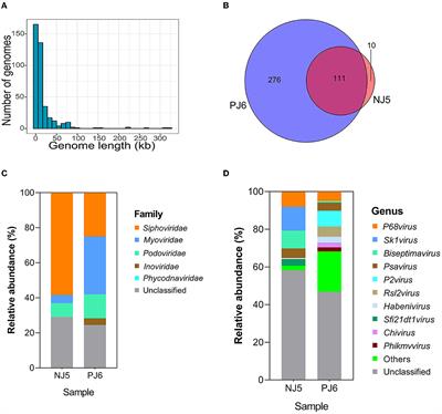 Uncovering differences in the composition and function of phage communities and phage-bacterium interactions in raw soy sauce